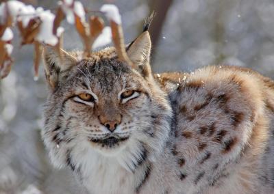 Asociatyvi nuotr. Canva nuotr.