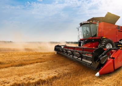 Asociatyvi nuotr. Canva nuotr.