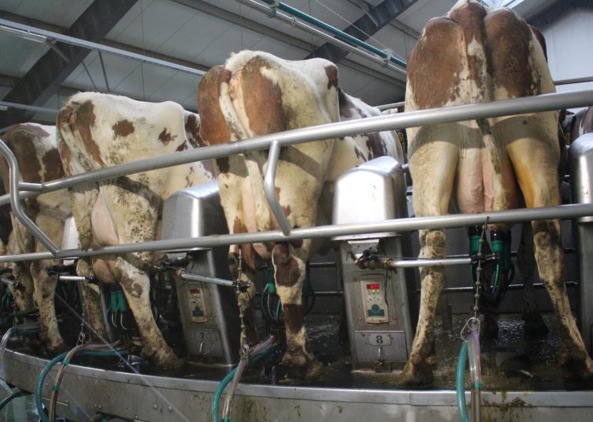 Asociatyvi nuotr. Gedimino Stanišausko nuotr. 