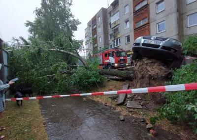 „Orų entuziastų“ grupės nuotr.