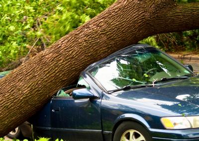 Asociatyvi nuotr. PAGD nuotr.