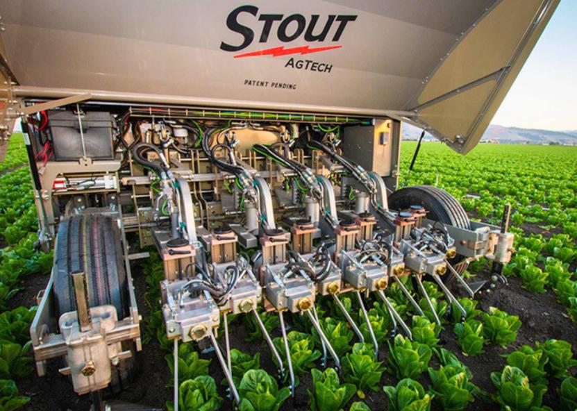 Stout Smart Cultivator“ kultivatorius. Stout nuotr. 