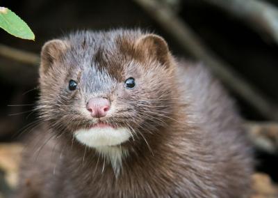 Asociatyvi nuotr. Canva nuotr.