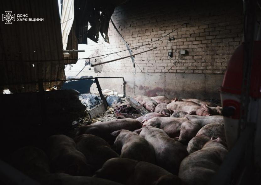 Įvykio nuotr. Ukrainos valstybinės nepaprastųjų situacijų tarnybos nuotr. 