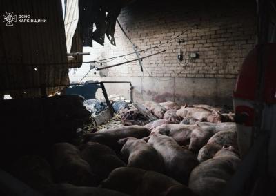 Įvykio nuotr. Ukrainos valstybinės nepaprastųjų situacijų tarnybos nuotr.