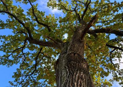 Asociatyvi nuotr. VMT nuotr.