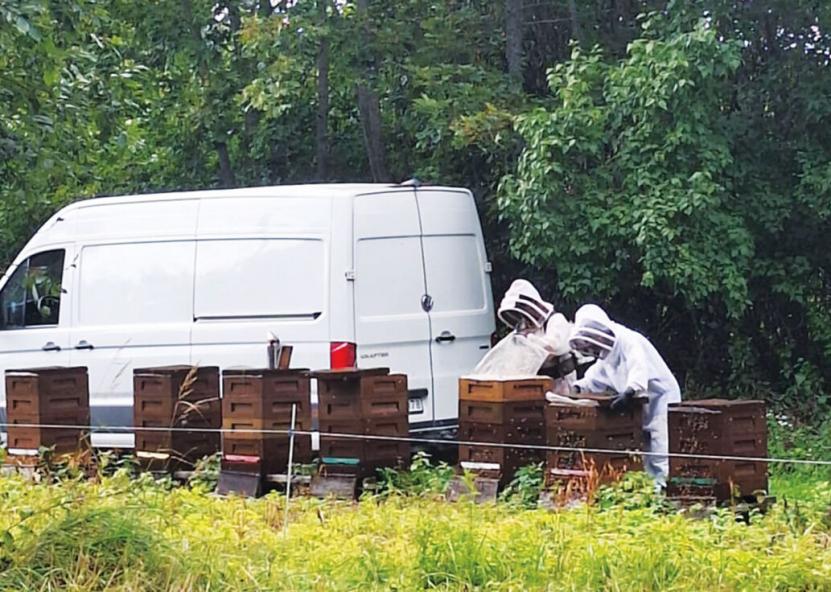 Dzūkų žinių nuotr. 