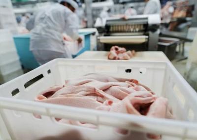 Asociatyvi nuotr. VMVT nuotr.