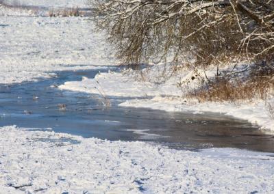 Asociatyvi nuotr. Gedimino Stanišausko nuotr.