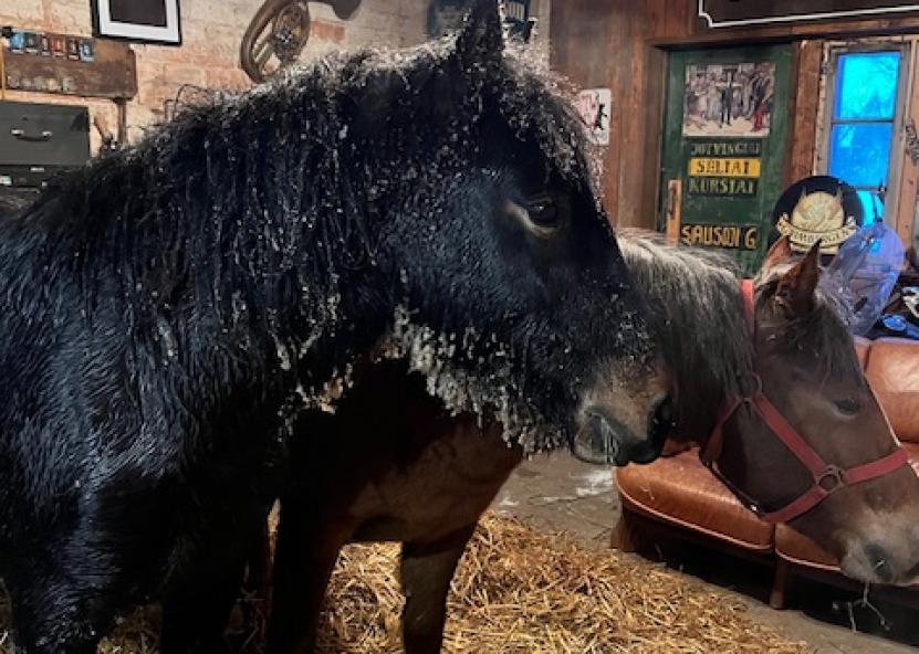 Ūkio „Brangiosios uogos“ nuotr. 