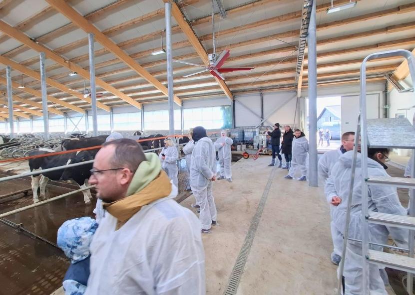 Karvių fermos projektą UAB „Dotnuva Baltic“ įgyvendino Milaičiuose, ūkininko Žilvino Oberausko ūkyje.