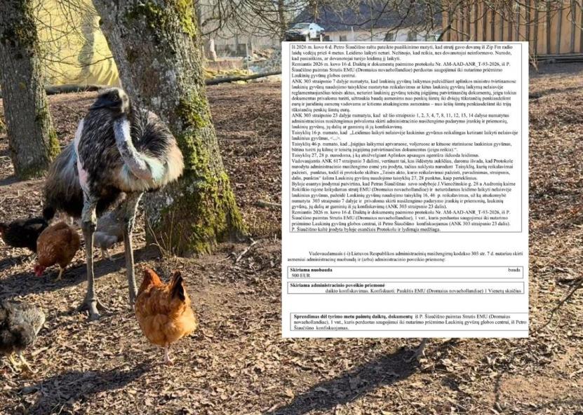 Konfiskuotas P. Šiaučiūno strutis ir AAD protokolas. Facebook nuotr. 