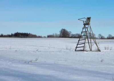 Asociatyvi nuotr. Rokiškio Sirena nuotr.